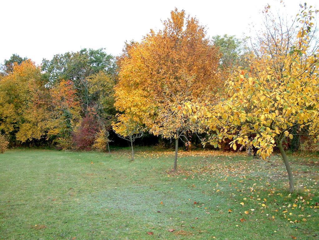 La Roseraie Neuville-du-Poitou Dış mekan fotoğraf